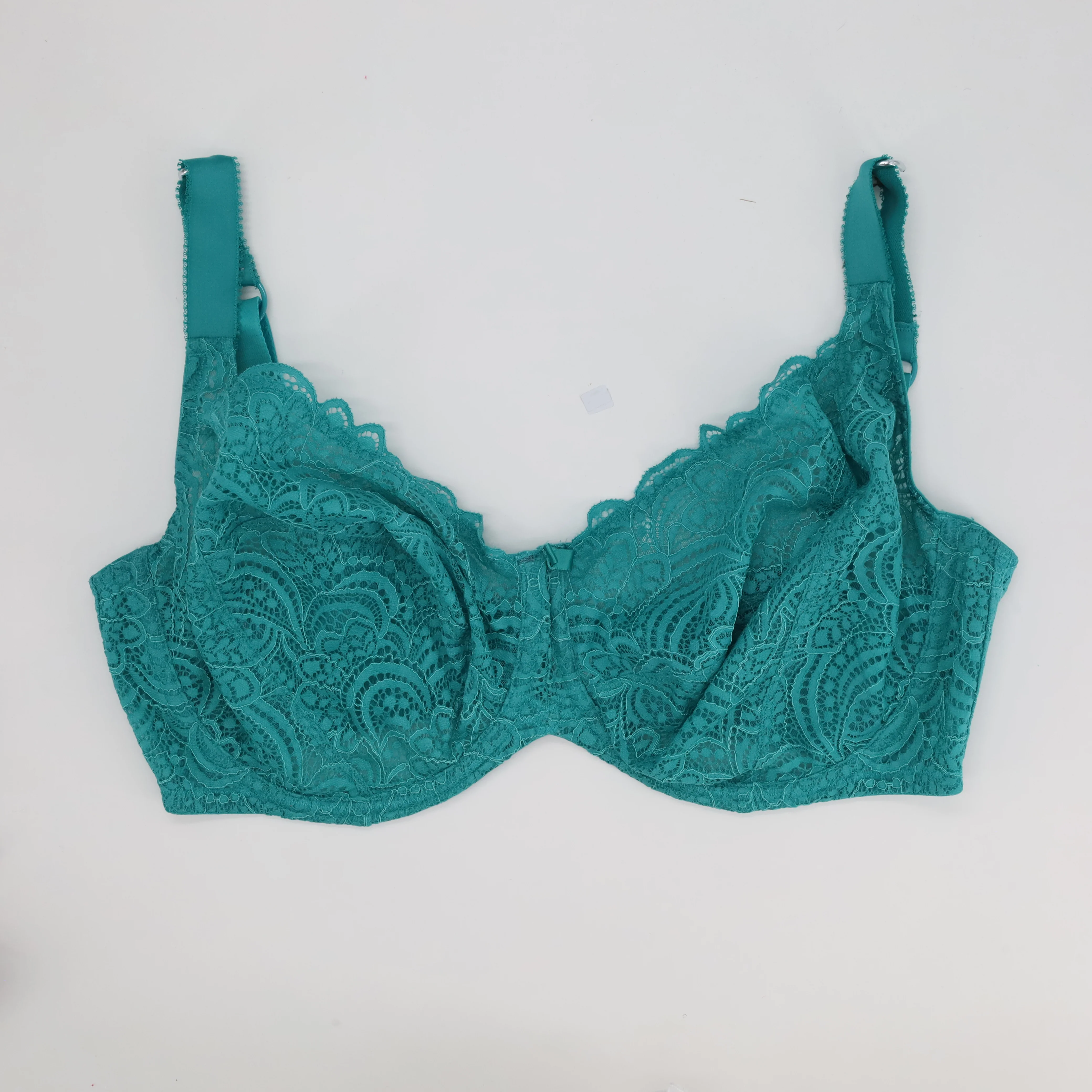 Soutien-gorge RougeGorge Bleu - Image 2